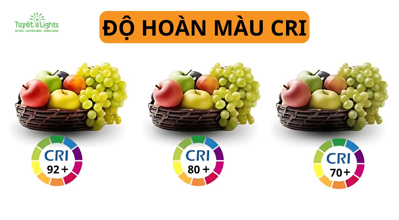 Chỉ số hoàn màu (CRI – Color Rendering Index) là yếu tố quan trọng đánh giá độ trung thực của màu sắc vật thể khi được chiếu sáng.